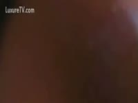Zoophilia Porn Tube - Doggie will make you pleased